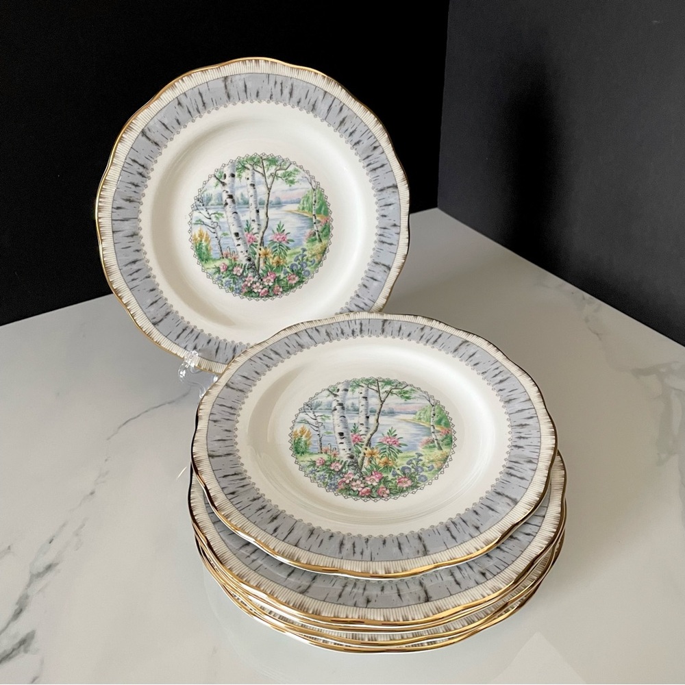 SET of 6 Silver Birch Salad or Dessert Plates by Royal Albert
